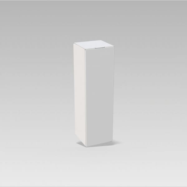 Dual insert tuck end product box