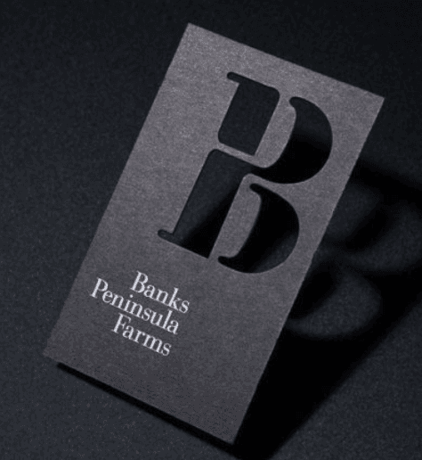 Business Cards 
